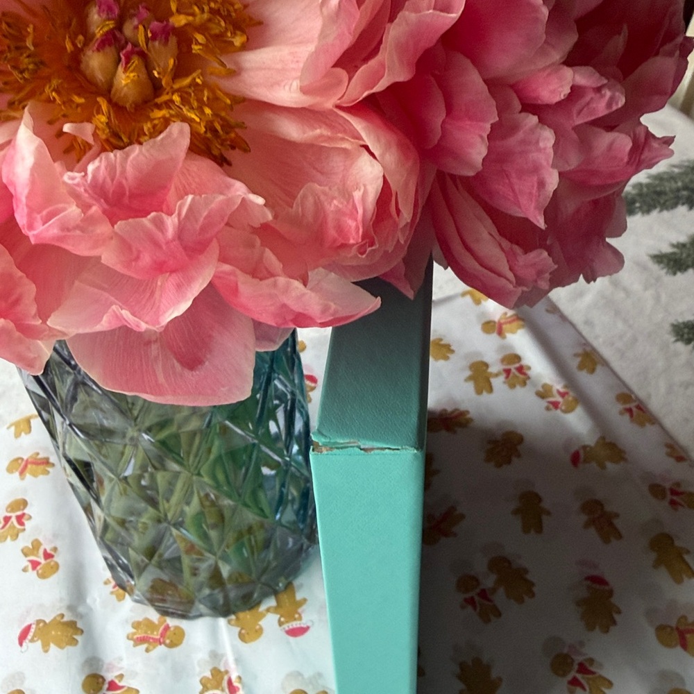 Tiffany & Co. Blue Box - Picture 15 of 15